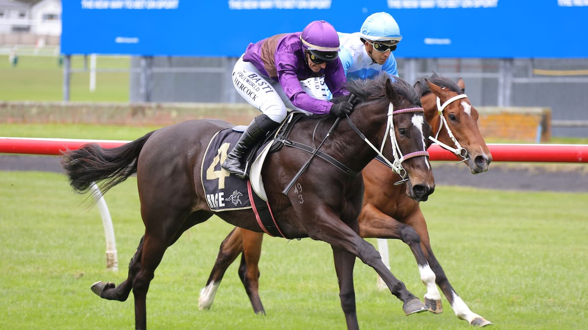 Horse racing: University mates chase Ellerslie dream with $20,000 purchase