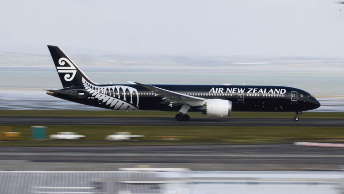 More than 50 flights cancelled as high winds batter Wellington