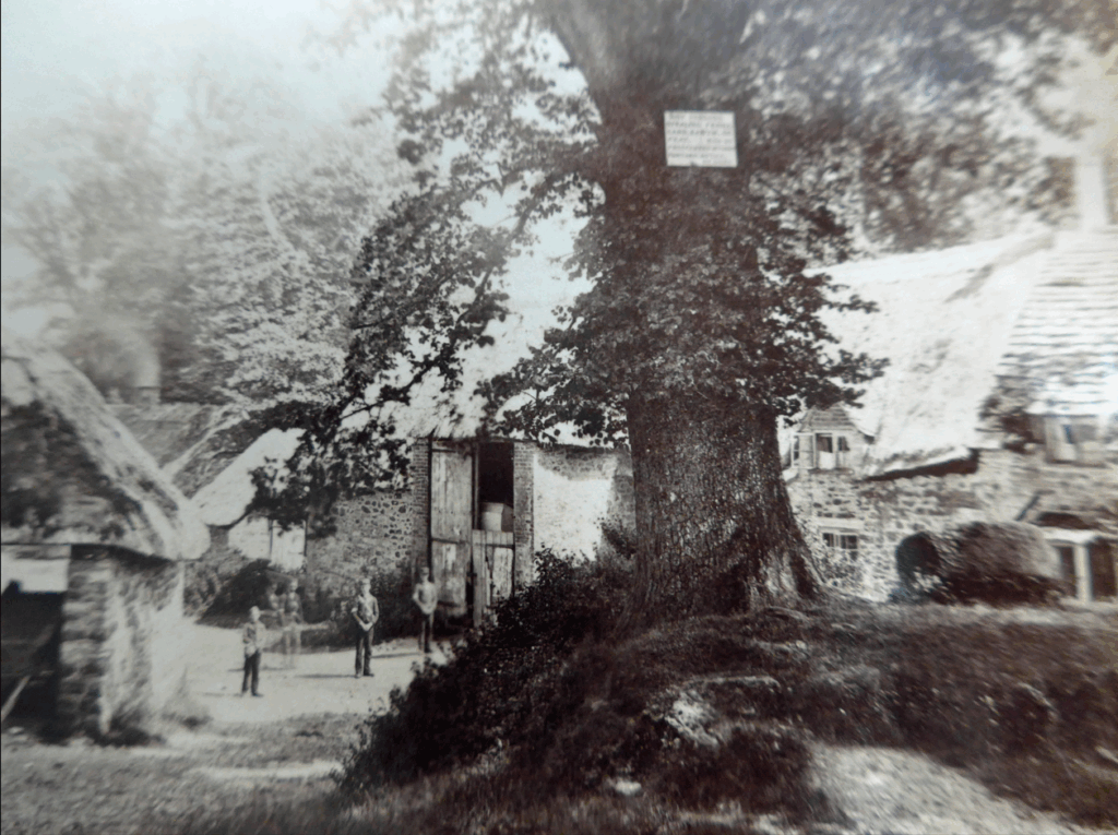 the 'Great Barn' which was demolished in the 1960s and some of the rubble used to shore up the beach in front of the beach shop