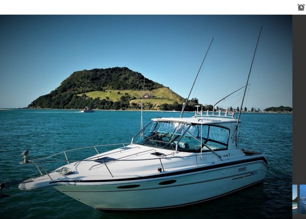 Sea Ray 300 Sport (1993)