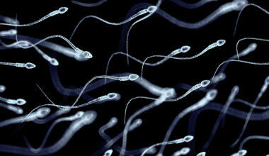 Scientists discover a hidden RNA ‘aging clock’ in human sperm – @theU