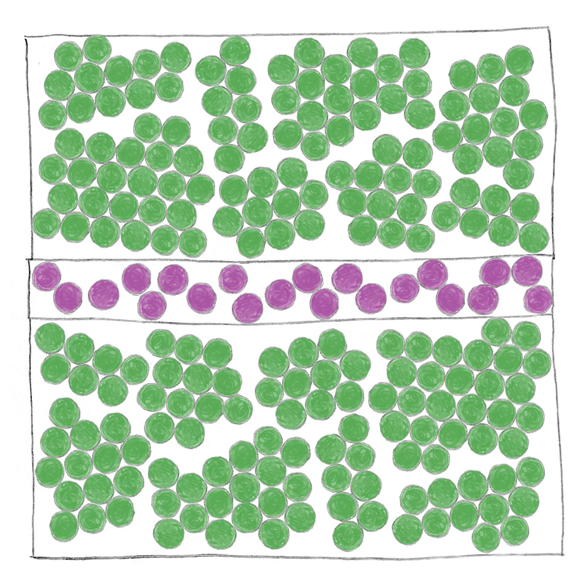 A drawing of a device with three layers has regions of partially aligned green dots in the top and bottom layers and randomly placed purple dots in the middle later.