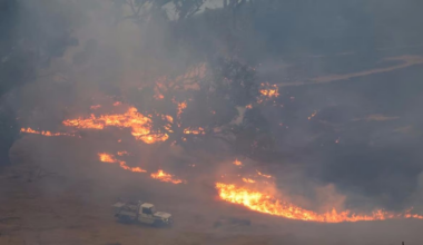 ‘Catastrophic’: Black Summer-style warning for Victorian bushfires