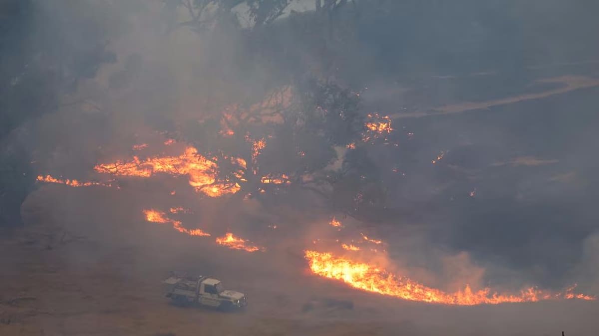 ‘Catastrophic’: Black Summer-style warning for Victorian bushfires
