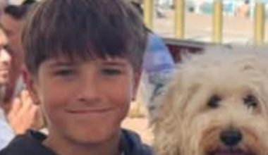 Sydney shark attack victim named as 12-year-old Nico Antic in hospital