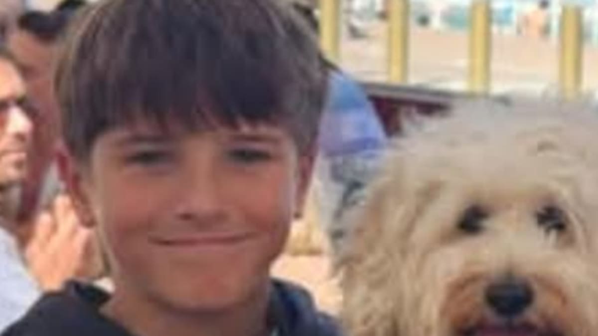 Sydney shark attack victim named as 12-year-old Nico Antic in hospital