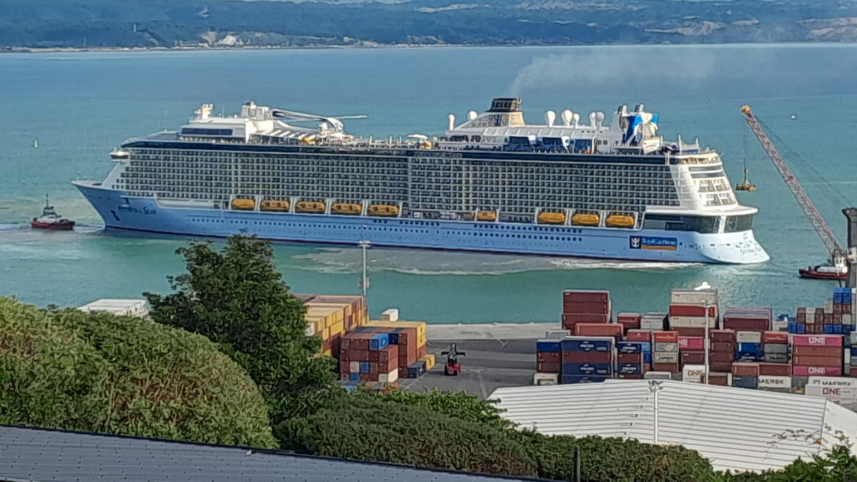 Anthem is music to the ears for Napier CBD