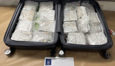 NZ woman accused of smuggling $5.5m of meth in checked luggage at Auckland Airport