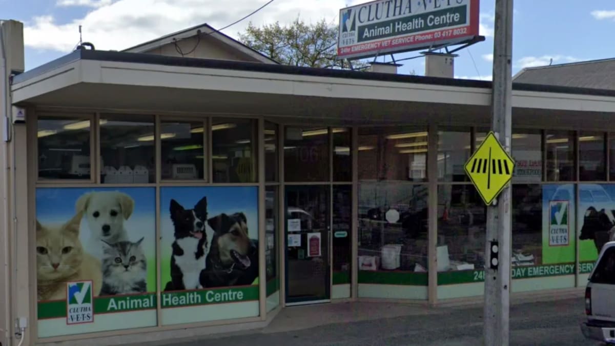 Clutha death a possible murder-suicide attempt