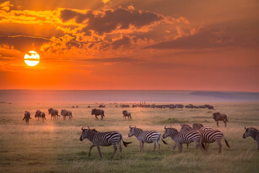 Tanzania 2 - travel and tour world