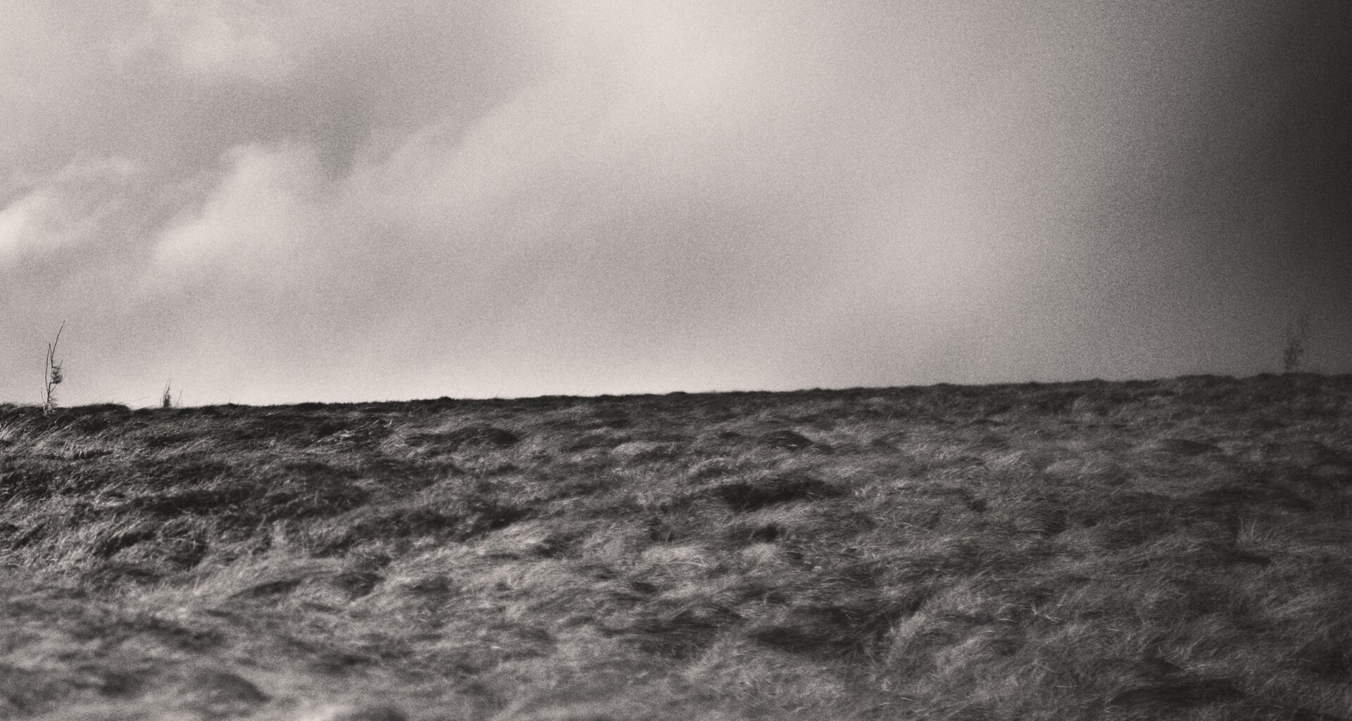 Temptress - hear Review | Angry Metal Guy