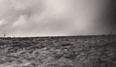 Temptress - hear Review | Angry Metal Guy