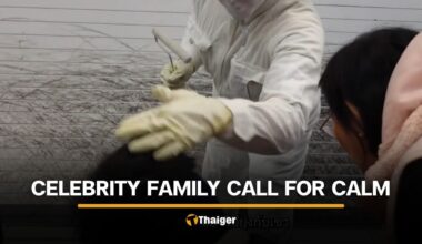 Thai netizens react after Japanese living statue hits actress’s son on head