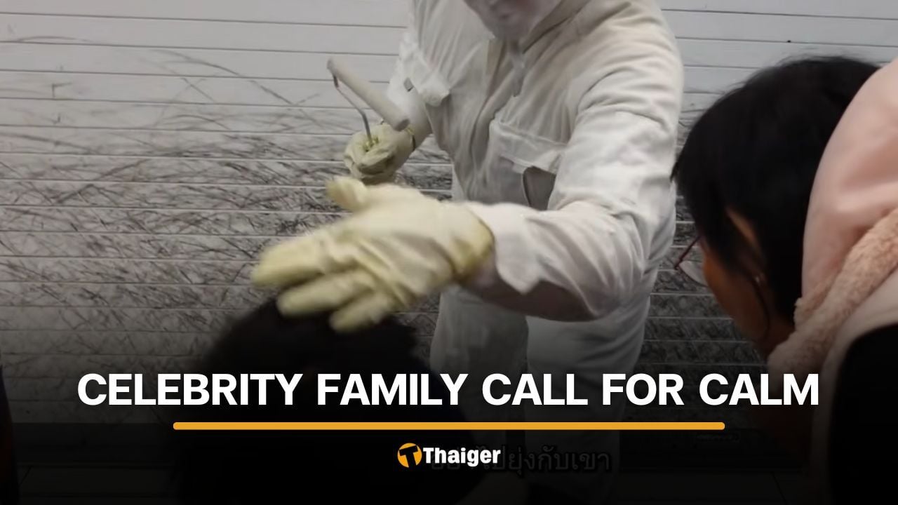 Thai netizens react after Japanese living statue hits actress’s son on head