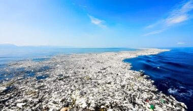 The Great Pacific Garbage Patch Is The Largest Of The Five Plastic Accumulation Zones In The World’s Oceans. Credit The Ocean Cleanup