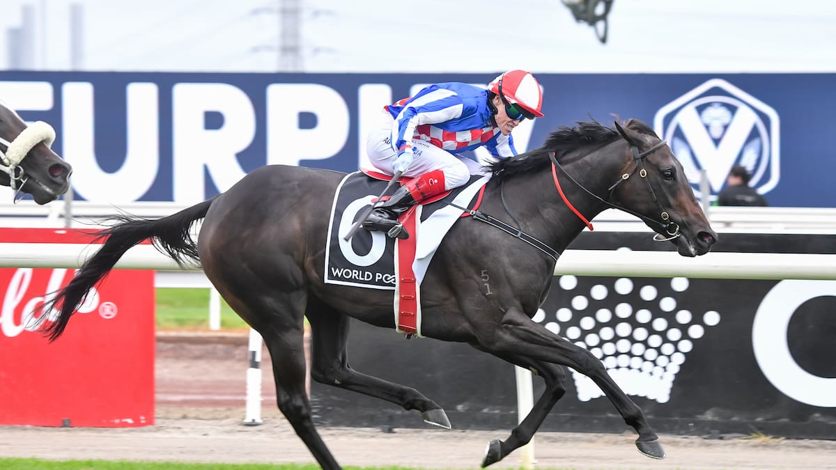 Superstar jockey says Kiwi speed machine can beat his fellow Aussies