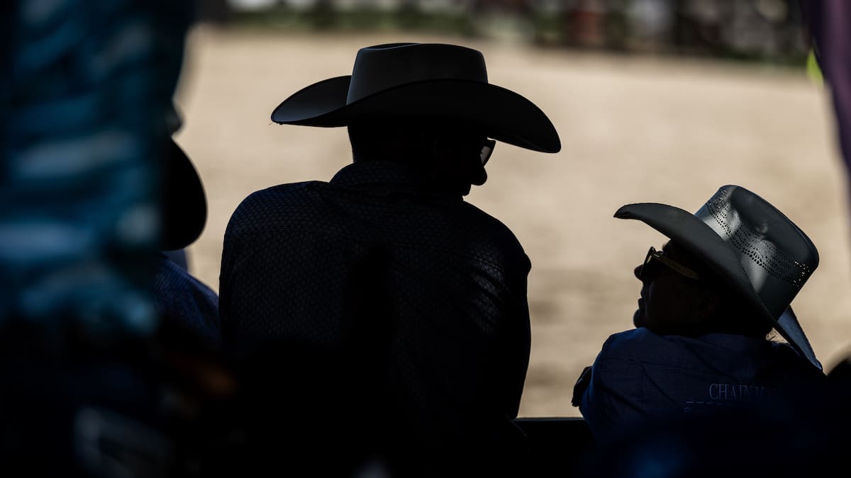 Far North Rodeo crowd scatters as 800kg bull breaks fence