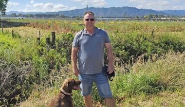 Omeheu solar farm Edgecumbe: Neighbours claim council not enforcing planting rules