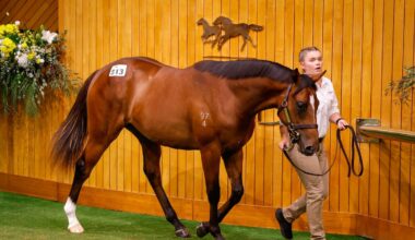 Cambridge Stud colt stuns with $1.1 million sales-topping price