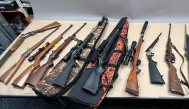 Firearms seizures in 2025: What they tell us about gun trends in NZ