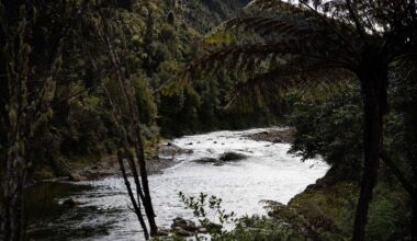 Man still missing after Ōpōtiki river incident