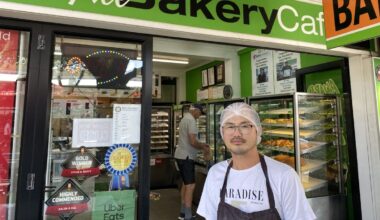 Mount Maunganui landslide: Businesses plead for customers to support them