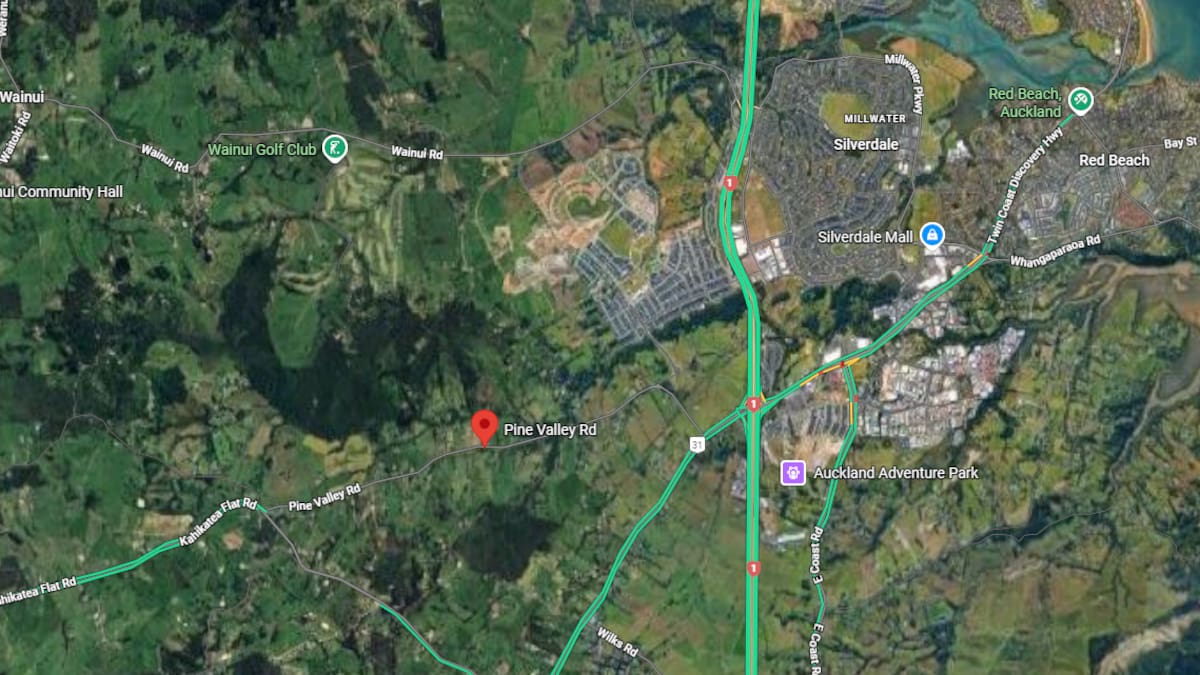 One person dies in two-vehicle crash in Dairy Flat north of Auckland