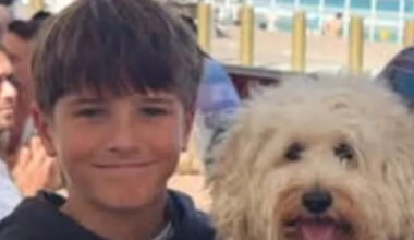 Sydney shark attack: 12-year-old boy Nico Antic dies after harbour beach mauling