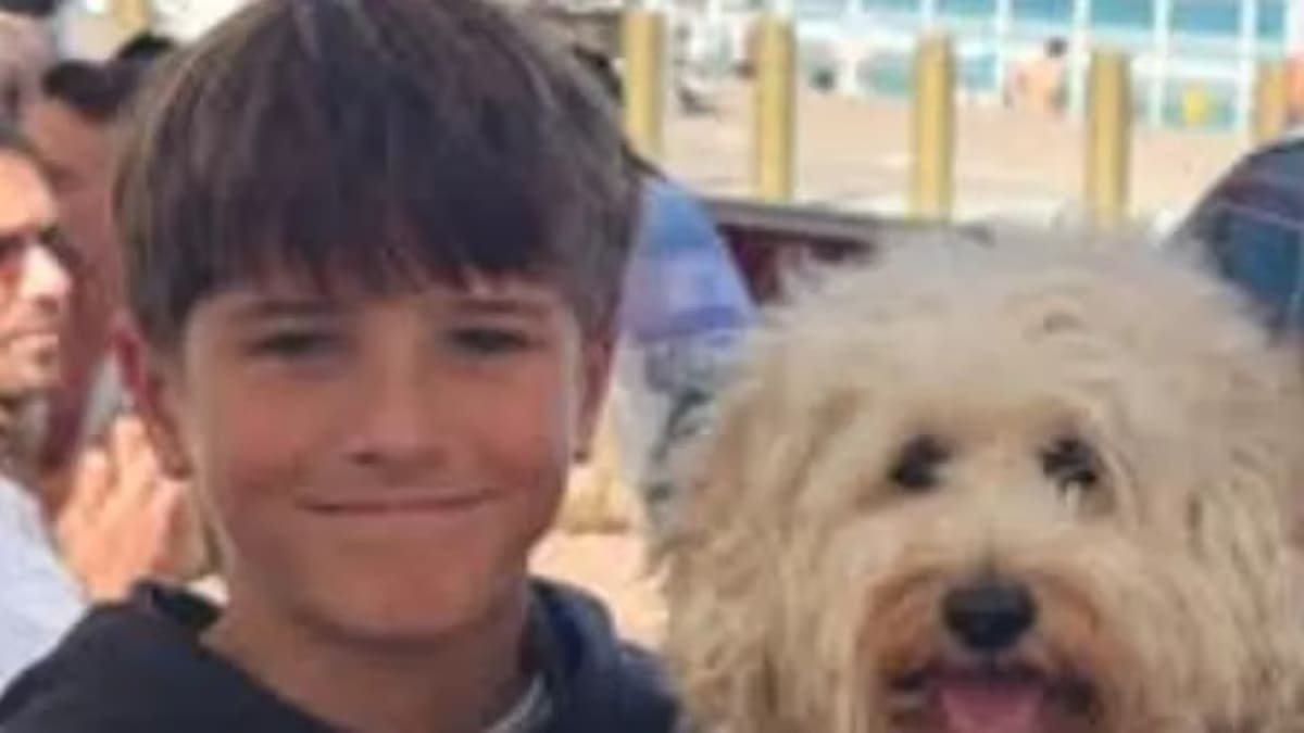 Sydney shark attack: 12-year-old boy Nico Antic dies after harbour beach mauling