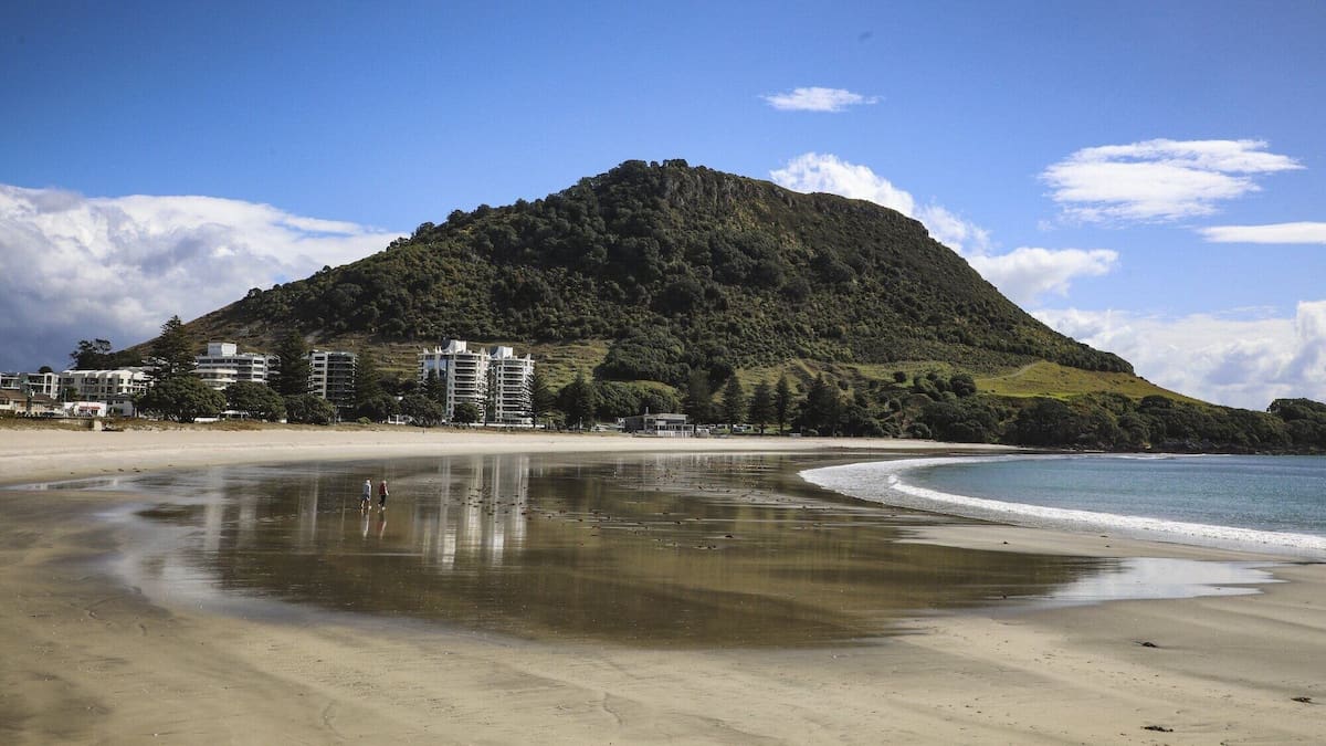 Local leaders share their hopes for Tauranga and Western Bay of Plenty in 2026