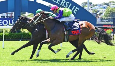 Mick On Monday: Savaglee the question horse as Karaka Millions meeting takes shape