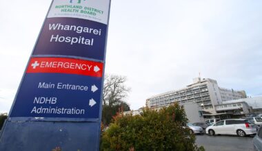 83-year-old woman dies after fall from stretcher at Whangārei Hospital