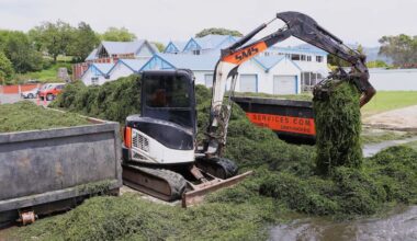 Lake weed: Minister reviews funding after Rotorua clean-up costs over $133,000