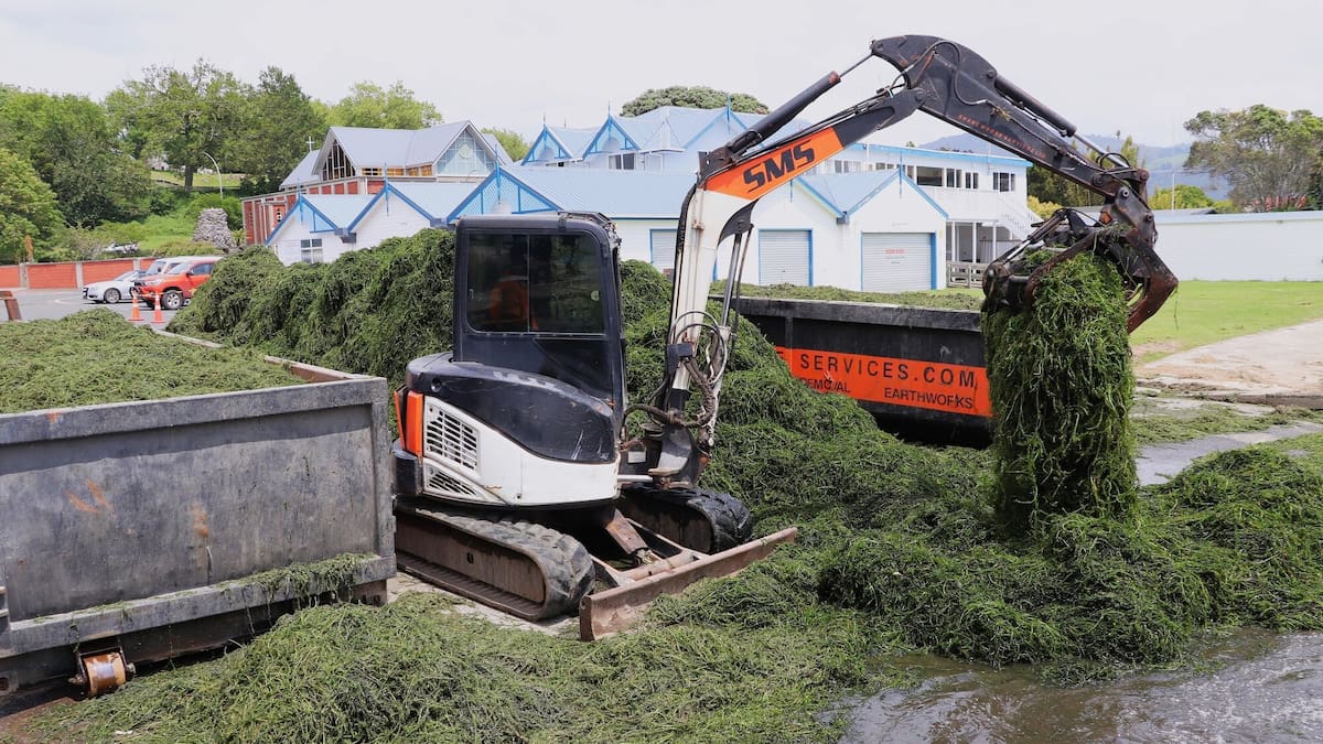 Lake weed: Minister reviews funding after Rotorua clean-up costs over $133,000