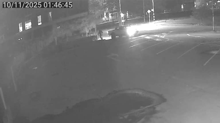 A CCTV still of a person and ute believed to be linked to the theft of the Peace Bell in Auckland. (Source: NZ Police)