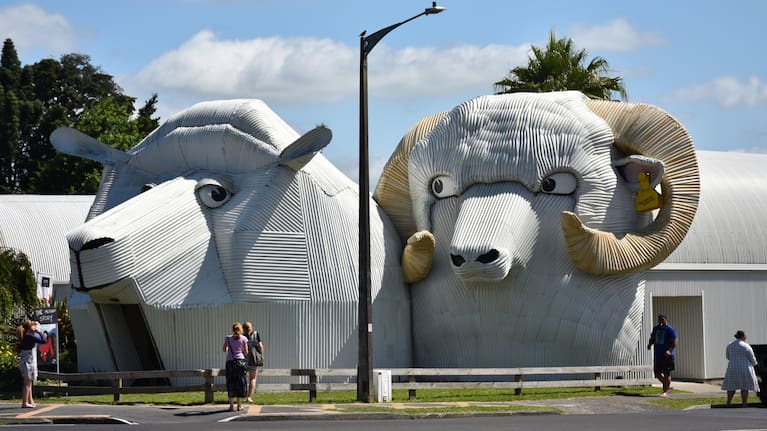 A corrugated iron sheep's head transformed a struggling Tīrau woolshop into a thriving tourist stop. 