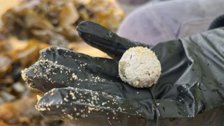 A 'debris ball' found on an NSW beach.