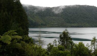 Missing swimmer's body located at Rotorua's Blue Lake