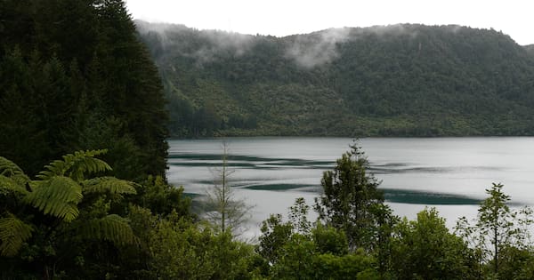 Missing swimmer's body located at Rotorua's Blue Lake