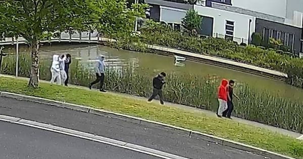 Melbourne twins traumatised by 'zombie killer' machete ambush