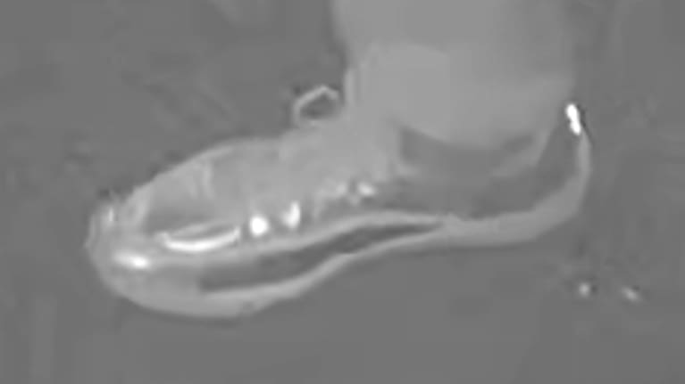 A pair of "quite distinctive" shoes police hope someone may recognise.