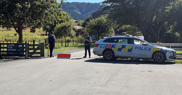 Emergency services rush to helicopter crash north of Wellington