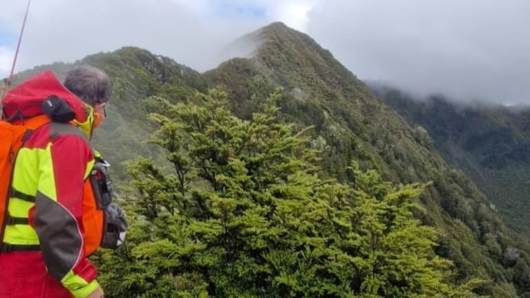 A searcher looks out at the rugged landscape of the Kahurangi National Park.