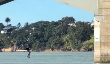 Pair filmed jumping off Auckland Harbour Bridge