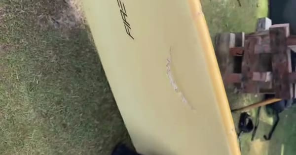 Man in hospital as 4th person attacked by shark in NSW in 48 hours