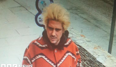 New appeal in search for partner of Mick Jagger's granddaughter - BBC