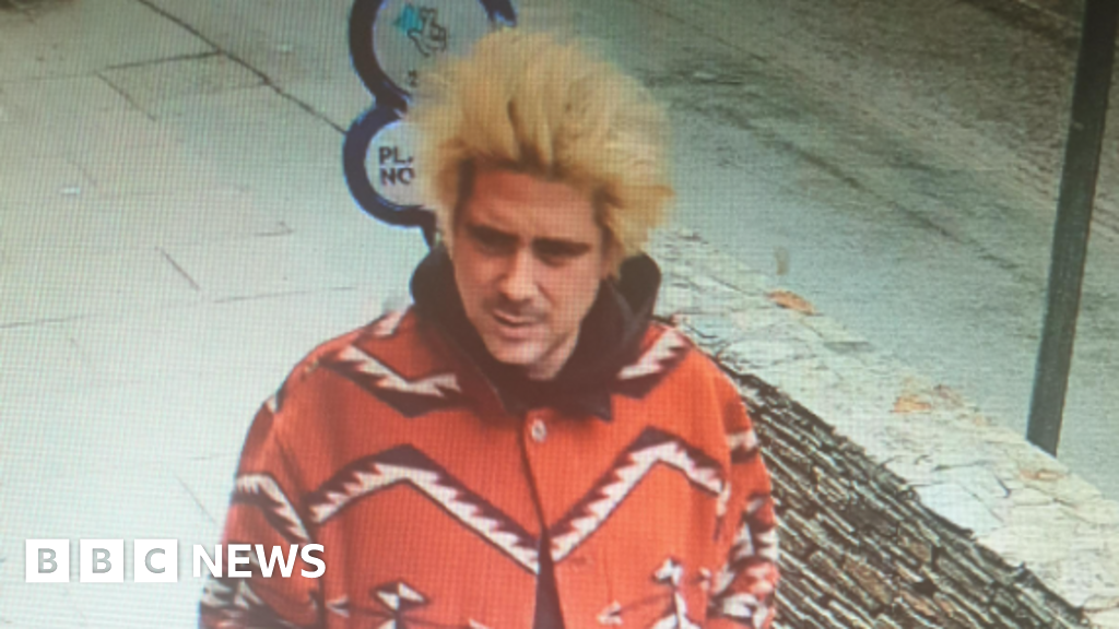 New appeal in search for partner of Mick Jagger's granddaughter - BBC