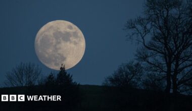 A huge white Moon sits over the hill on Glastonbury Tor in a blue sky and with trees in front of it in silhouette
