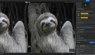 This Image Enhancer Beats the Competition