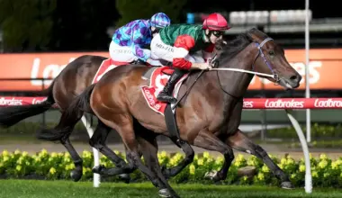 Five famous stable swaps for WA stars